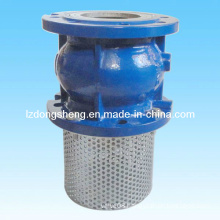 Cast Iron Foot Check Valve Spring Loaded Type Pn16
